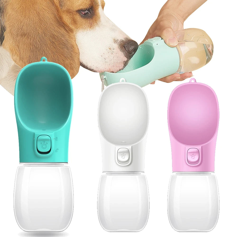 Automatic Cat Feeder & Waterer