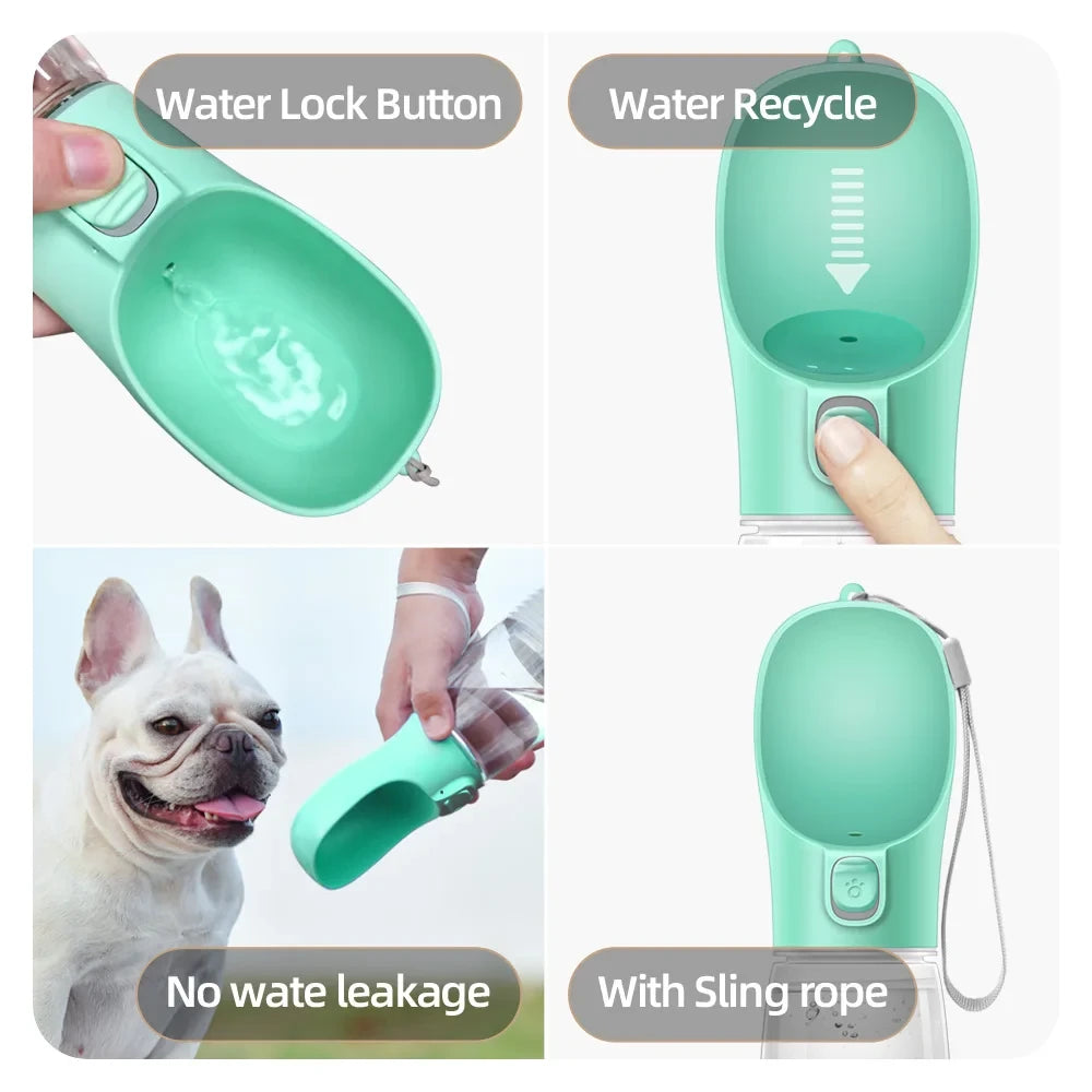 Automatic Cat Feeder & Waterer
