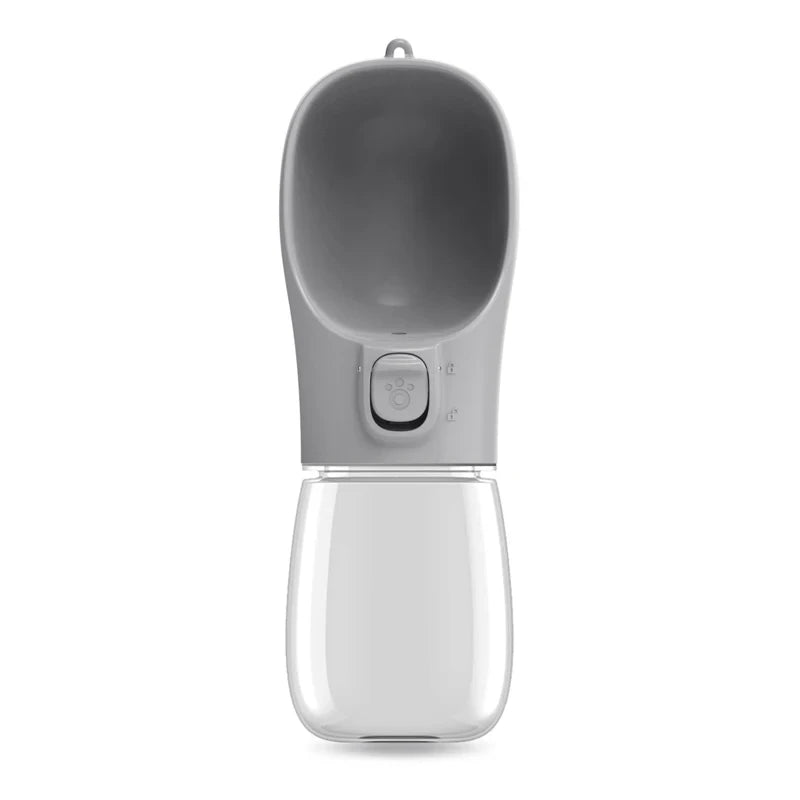 Automatic Cat Feeder & Waterer
